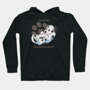 Dalmatians, nothing else matters Hoodie